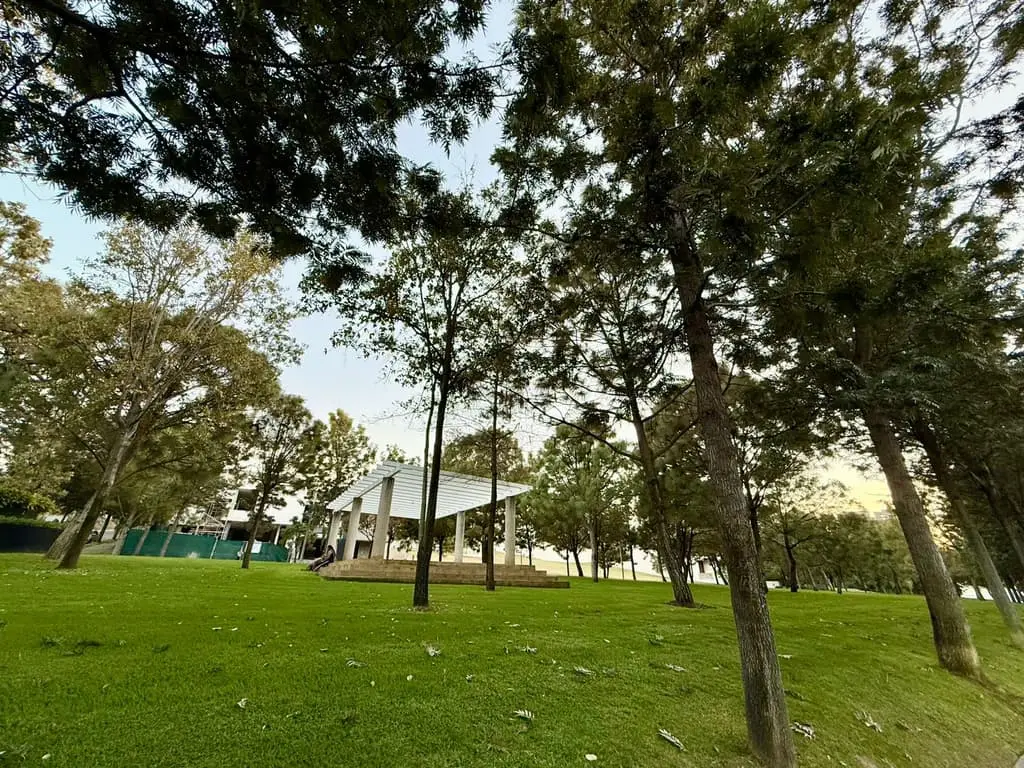 Terreno en venta, Alcazar Oriente — foto 9