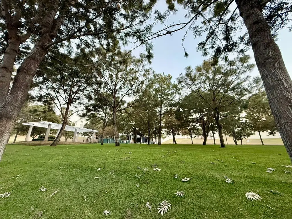 Terreno en venta, Alcazar Oriente — foto 10