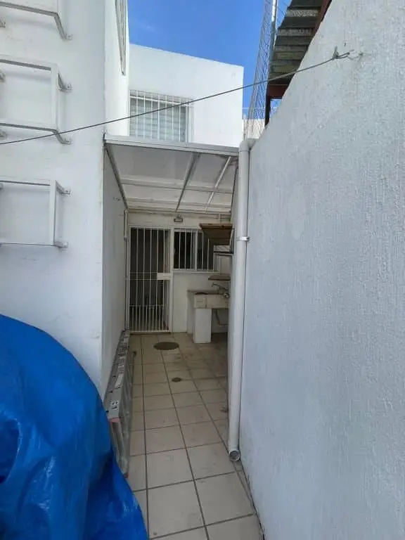 Casa en Renta Girasoles Elite , Zapopan. Excelente ubicación — foto 6