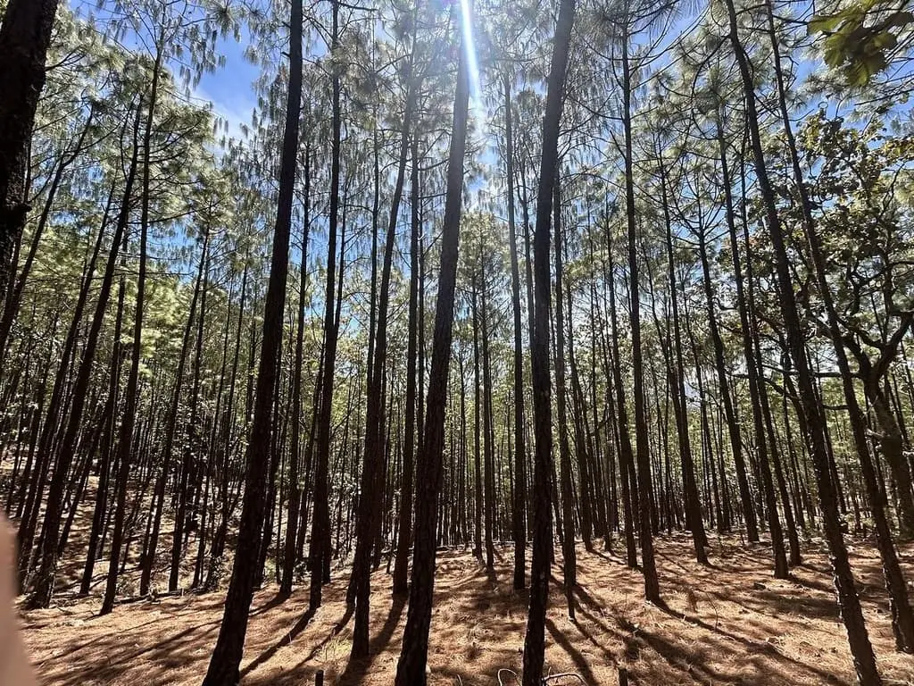 Terreno en Venta en Tapalpa - Mazati Reserve Condor 2A