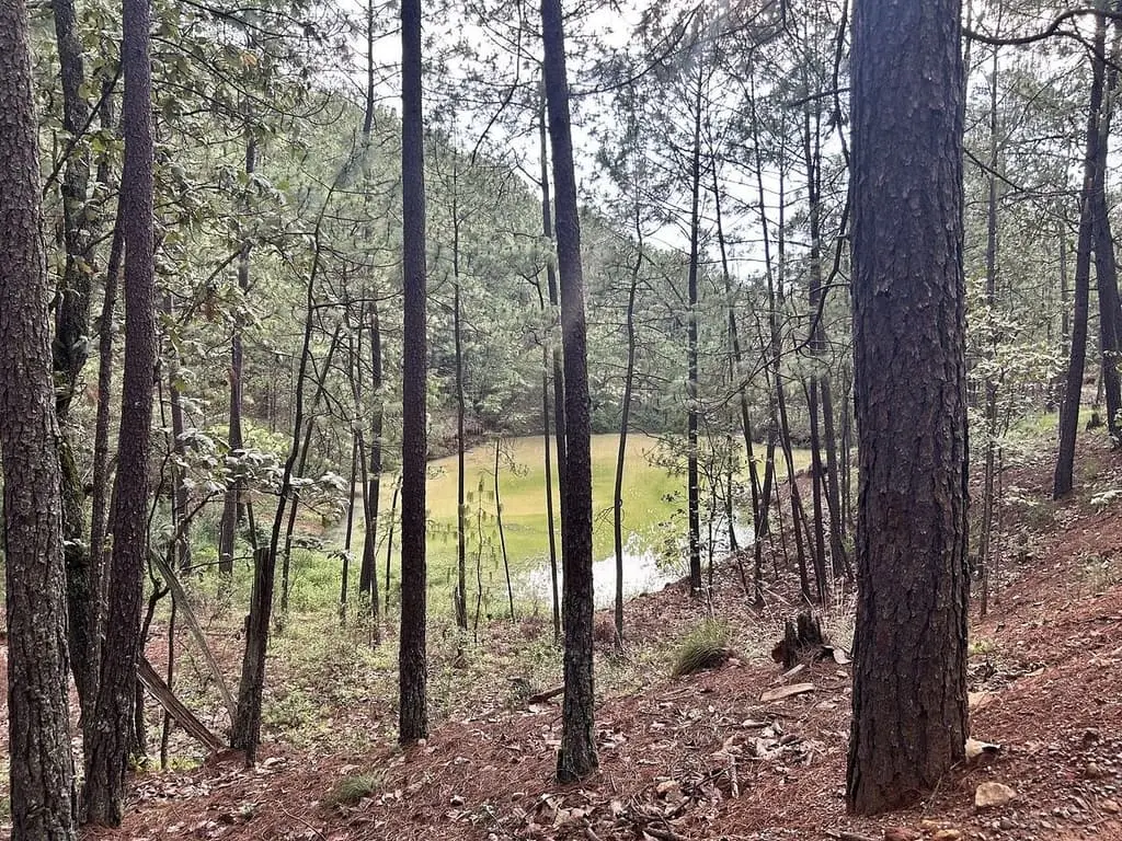 Terreno en Venta en Tapalpa - Mazati Reserve Condor 2A — foto 10