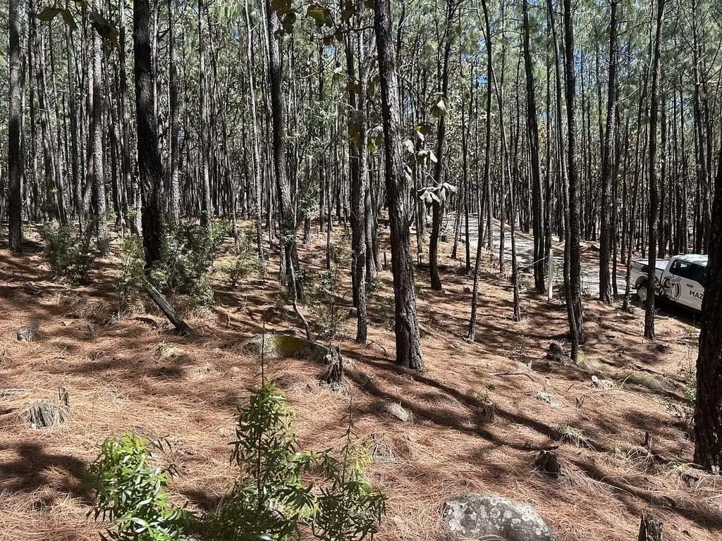 Terreno en Venta en Tapalpa - Mazati Reserve Condor 2A — foto 3