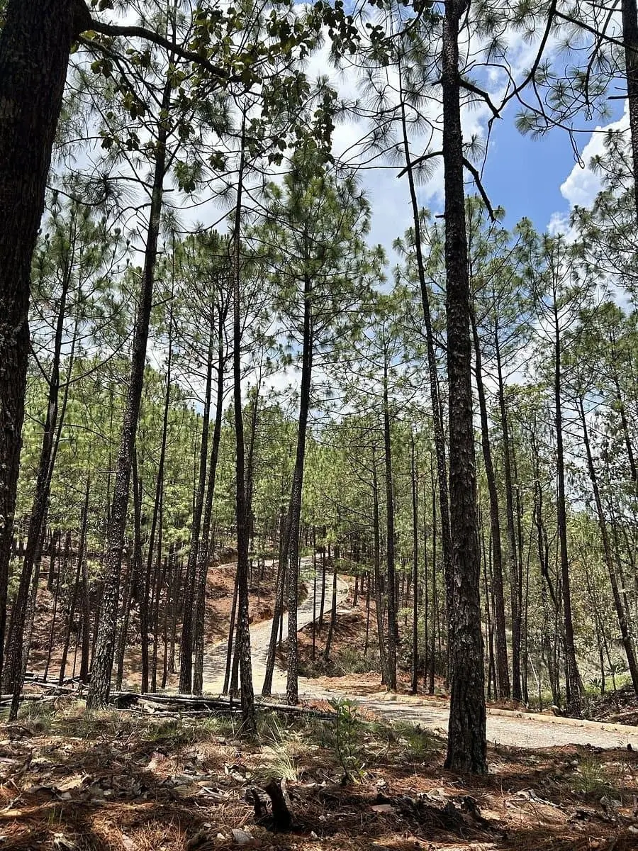 Terreno en Venta en Tapalpa - Mazati Reserve Condor 2A — foto 4