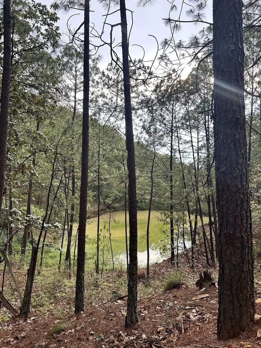Terreno en Venta en Tapalpa - Mazati Reserve Condor 2A — foto 9