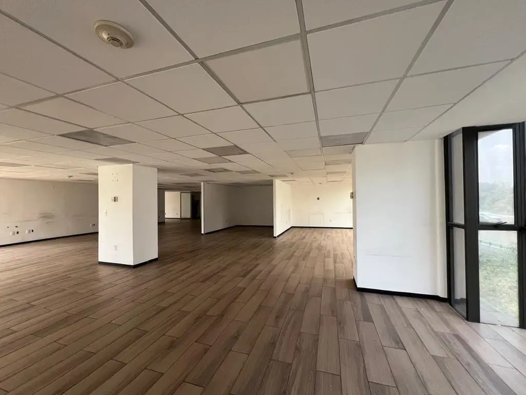 Polanco, Av. Horacio oficinas en renta, excelente ubicación (JS/LG) — foto 3