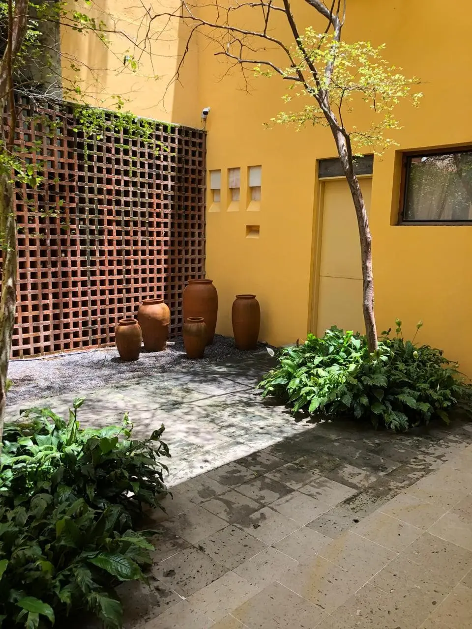 Cálida Casa con Alberca y Jardines en la Col Seattle — foto 7