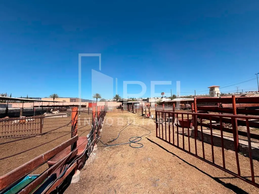 Terreno en Venta Sobre Blvd Alta California Tlajomulco — foto 4