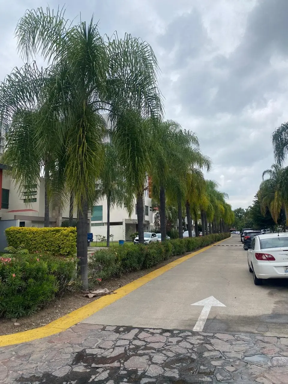 Se Vende Terreno en Fraccionamiento Sta. Catalina Zapopan, Jal. — foto 3