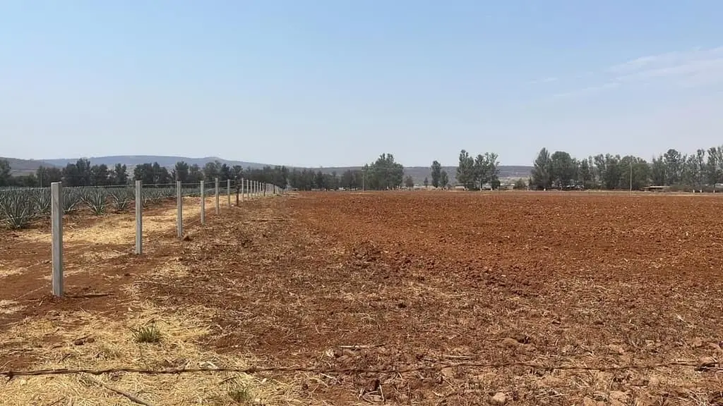 Terreno con uso de suelo en venta, Tototlán, Jalisco | CTV-2220 — foto 2