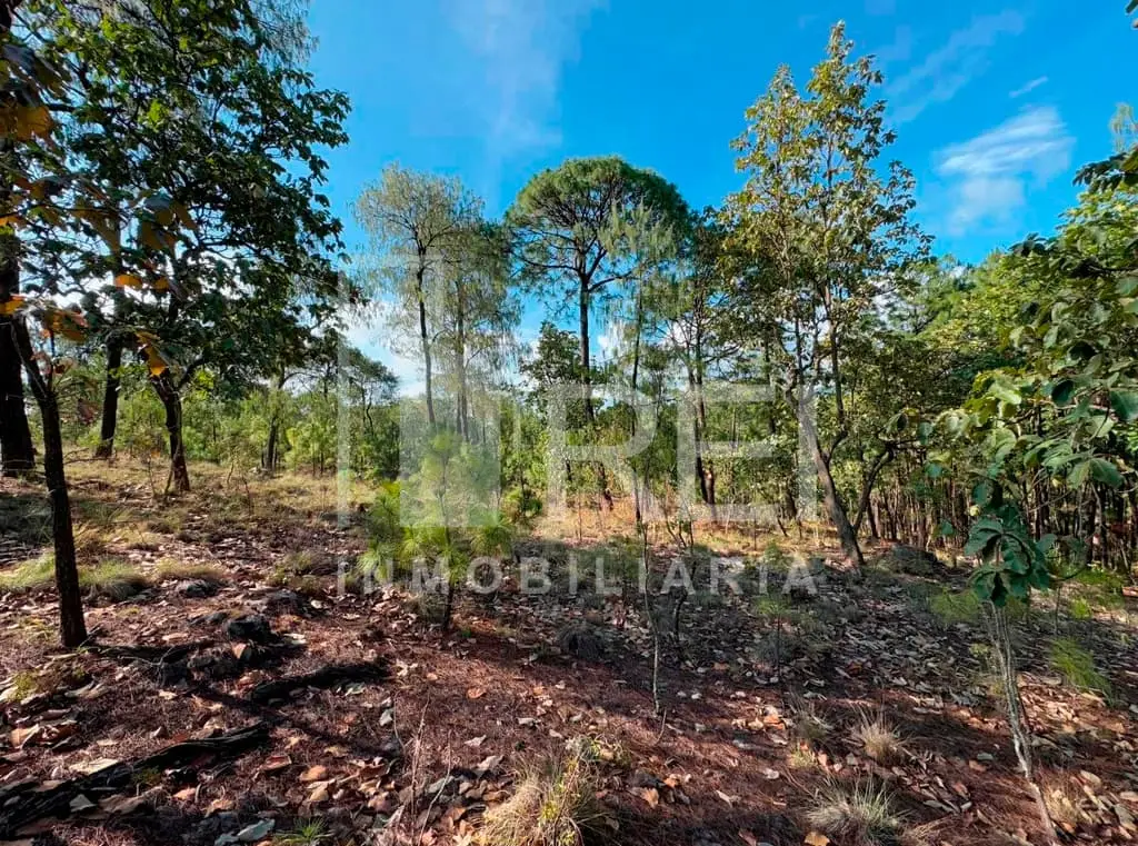 Venta Terreno en Sierra Mazati en Agua Zarca Tapalpa
