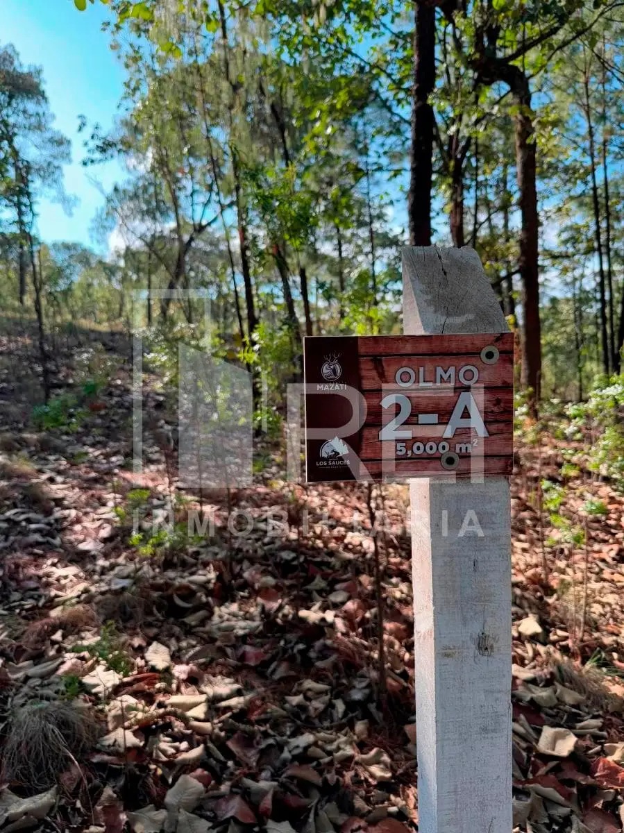 Venta Terreno en Sierra Mazati en Agua Zarca Tapalpa — foto 2