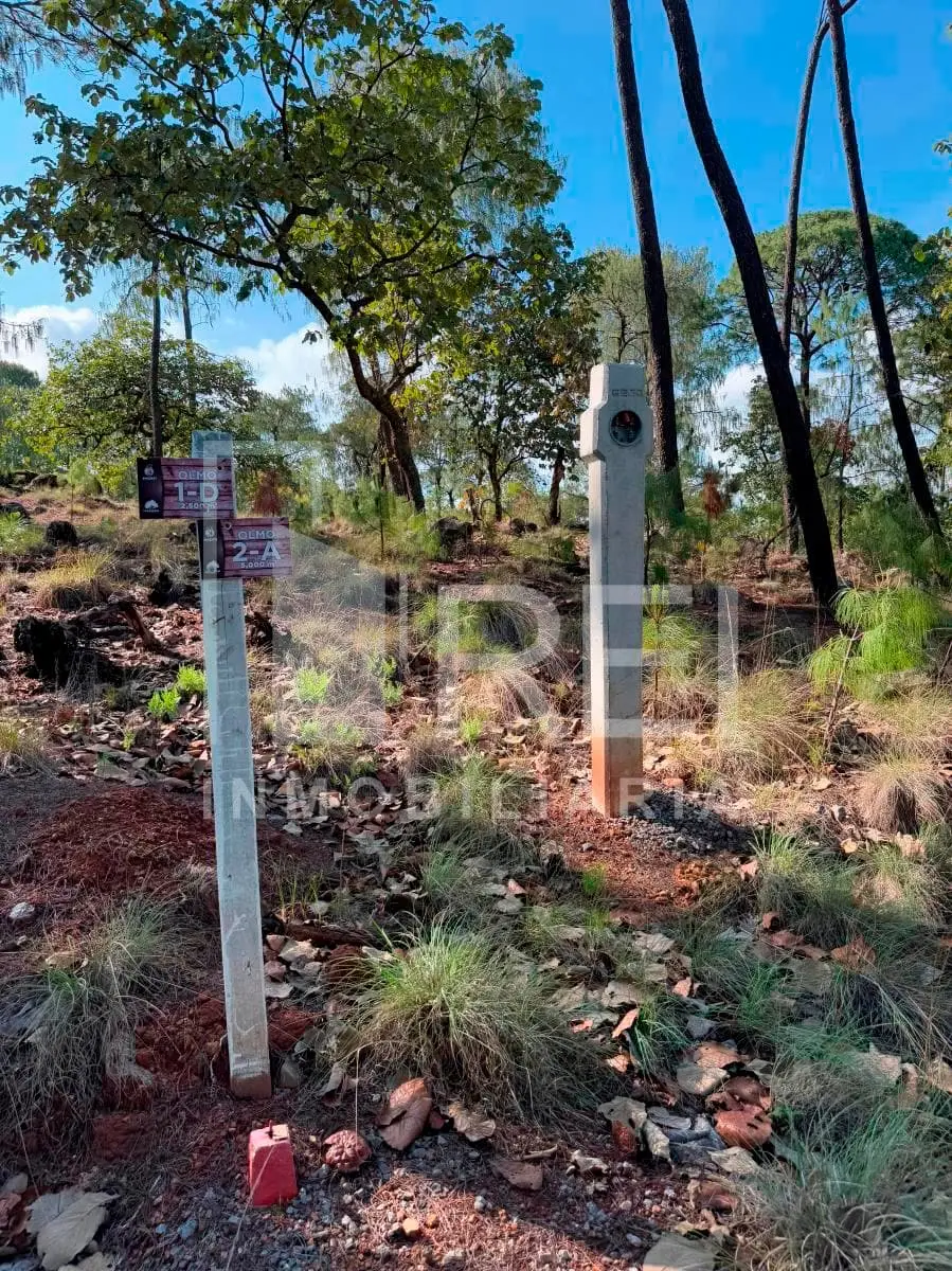 Venta Terreno en Sierra Mazati en Agua Zarca Tapalpa — foto 6
