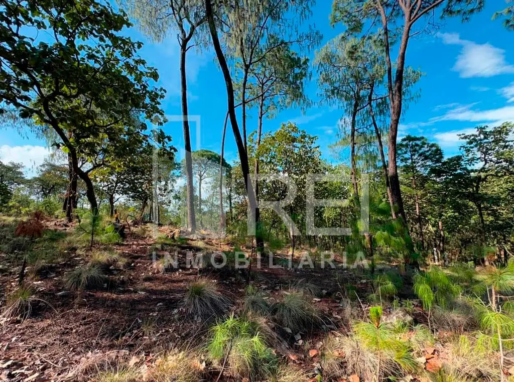 Venta Terreno en Sierra Mazati en Agua Zarca Tapalpa — foto 7