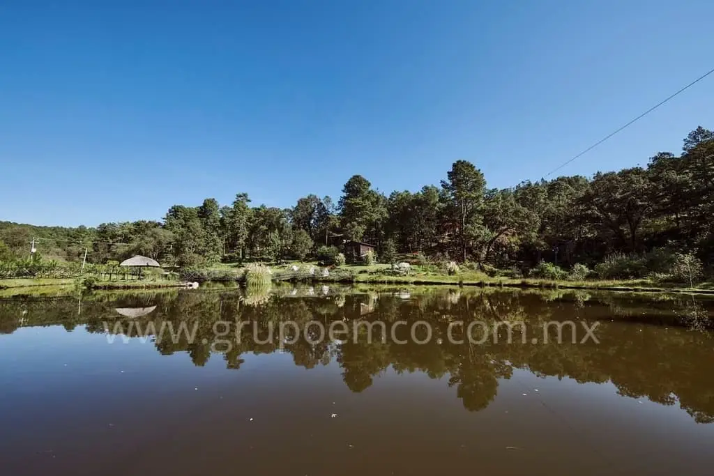 Terreno Campestre Reserva San Gregorio, Concepción de Buenos Aires — foto 4