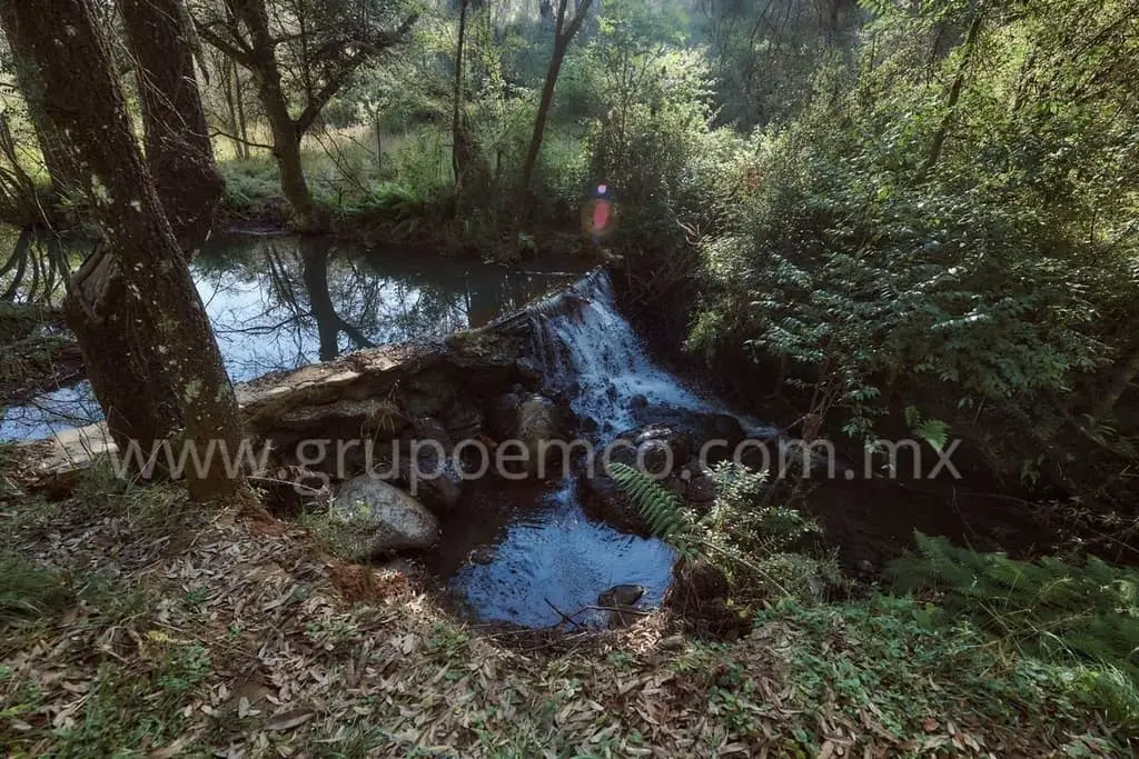Terreno Campestre Reserva San Gregorio, Concepción de Buenos Aires — foto 8
