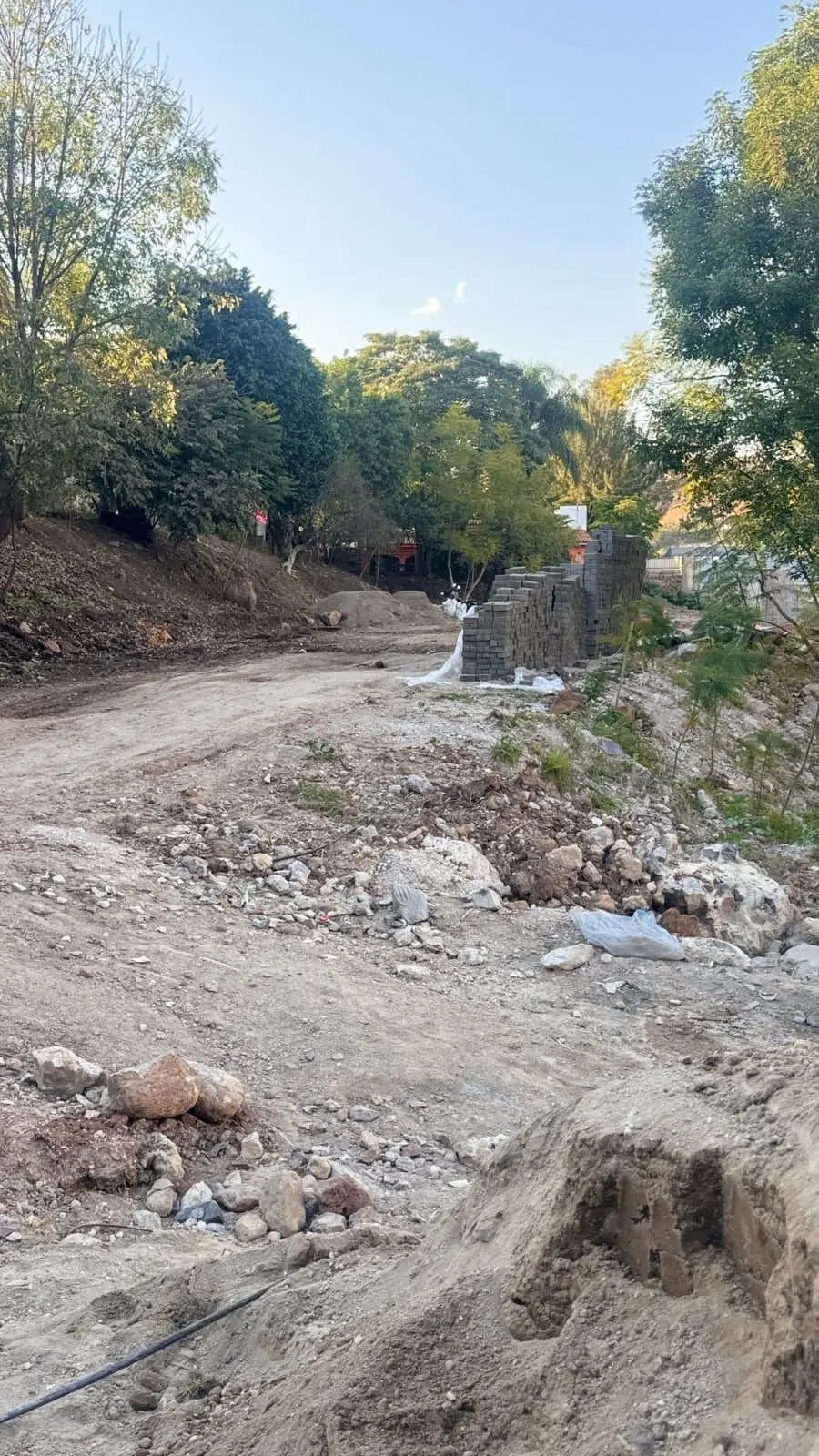 Terreno Plano en Coto Dentro de las Cañadas — foto 3