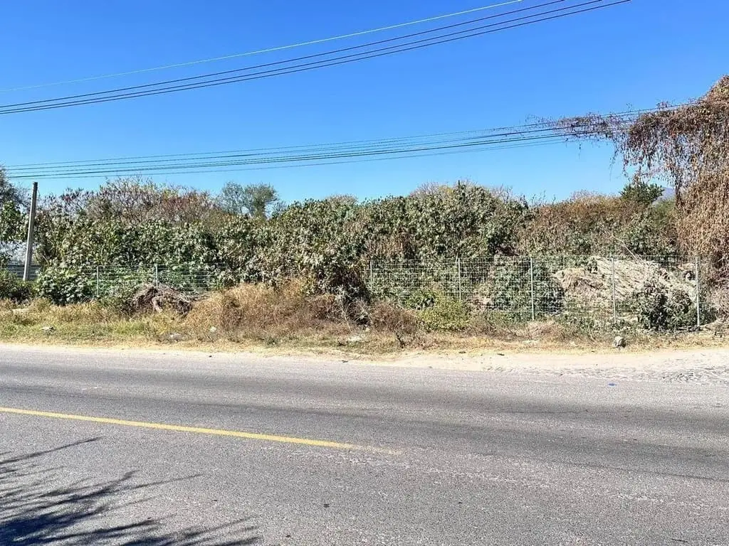 Terreno Comercial en venta en Chapala Centro