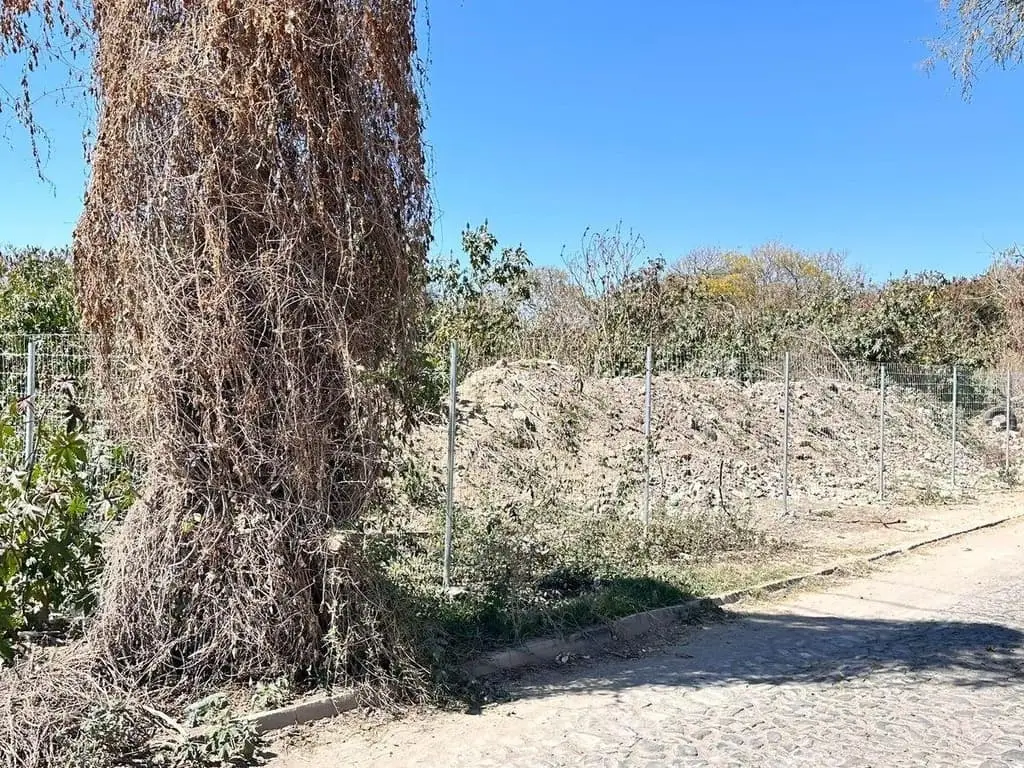 Terreno Comercial en venta en Chapala Centro — foto 2