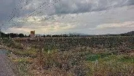 Terreno Rústico en venta en Poncitlán, Jalisco