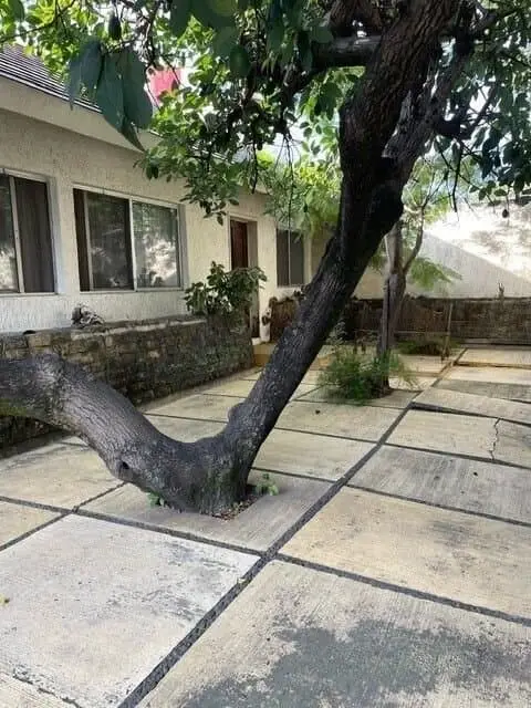 Casa en Venta en Ciudad del Sol, Zapopan, Jalisco — foto 2