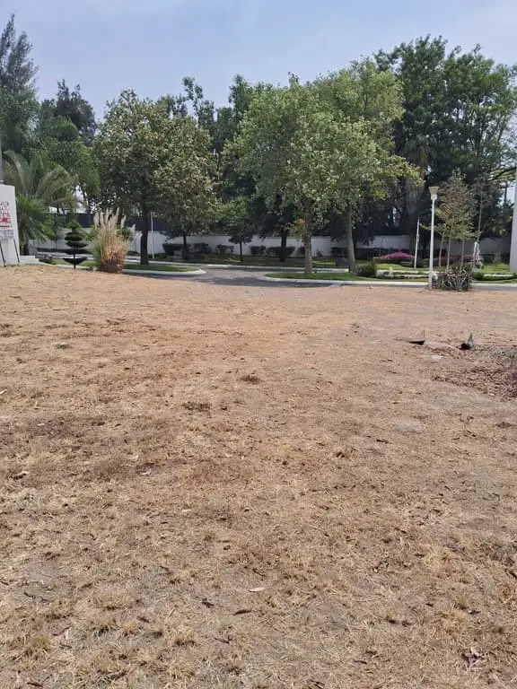 Terreno en Venta en Lago Nogal, Tlajomulco de Zúñiga, Jalisco — foto 7