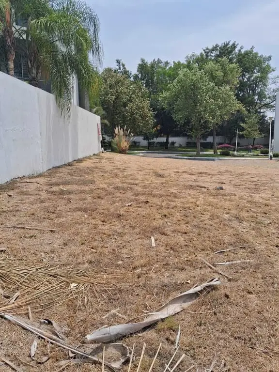 Terreno en Venta en Lago Nogal, Tlajomulco de Zúñiga, Jalisco — foto 9