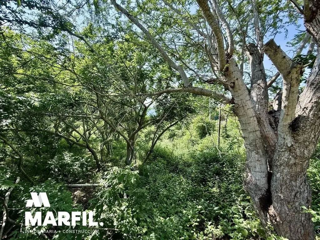 Casa Campestre con Alberca en Venta en Los Ortices Colima Hermosas Vistas — foto 10