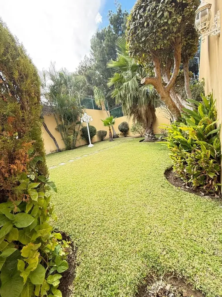 Casa en renta en colonia Camino Real — foto 4