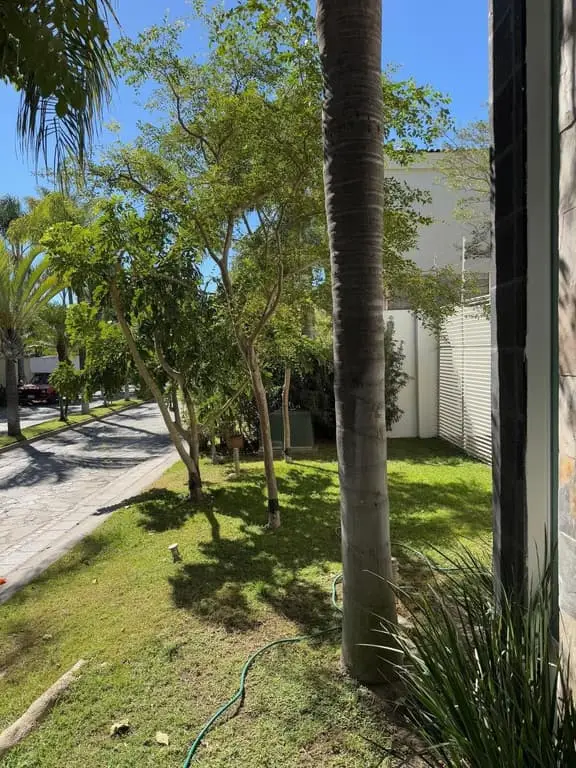 Casa en Renta en Valle Real — foto 4