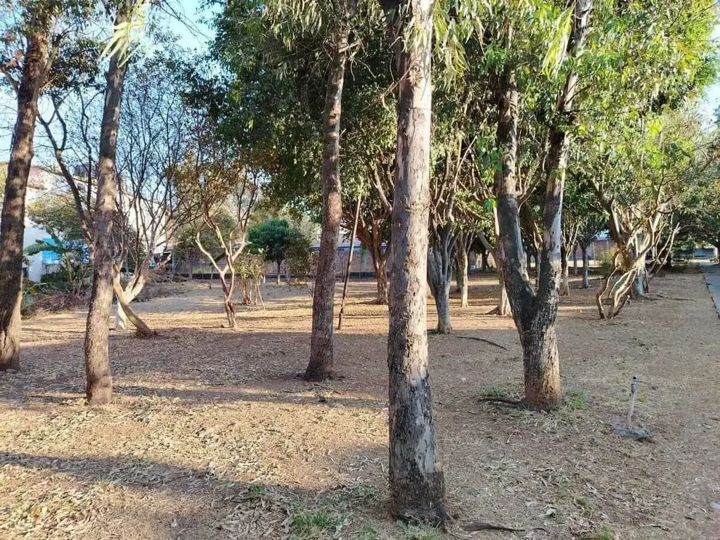 Loma Dorada Planta Baja, Excelente Zona ,junto Parque — foto 12