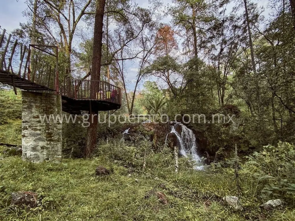 Terreno Campestre Reserva San Gregorio, Concepción de Buenos Aires — foto 5