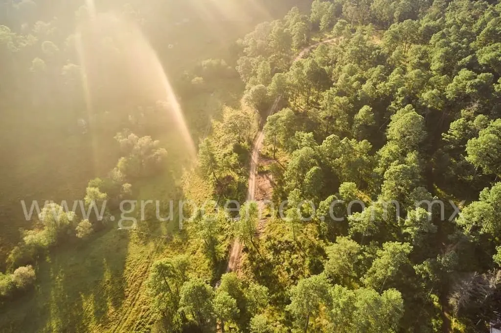 Terreno Campestre Reserva San Gregorio, Concepción de Buenos Aires — foto 7