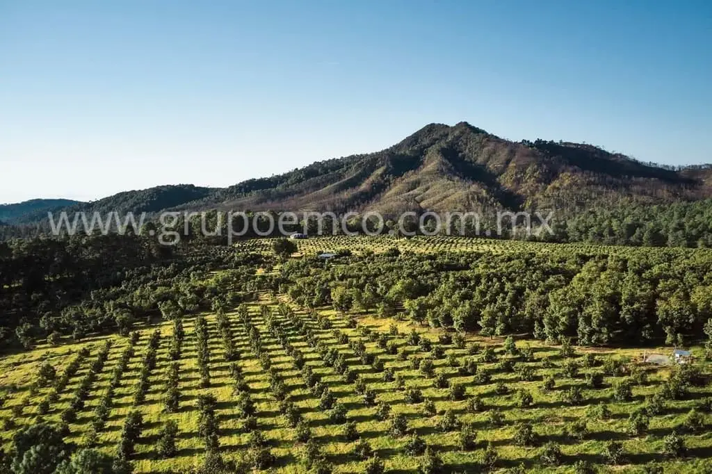 Terreno Campestre Reserva San Gregorio, Concepción de Buenos Aires — foto 10