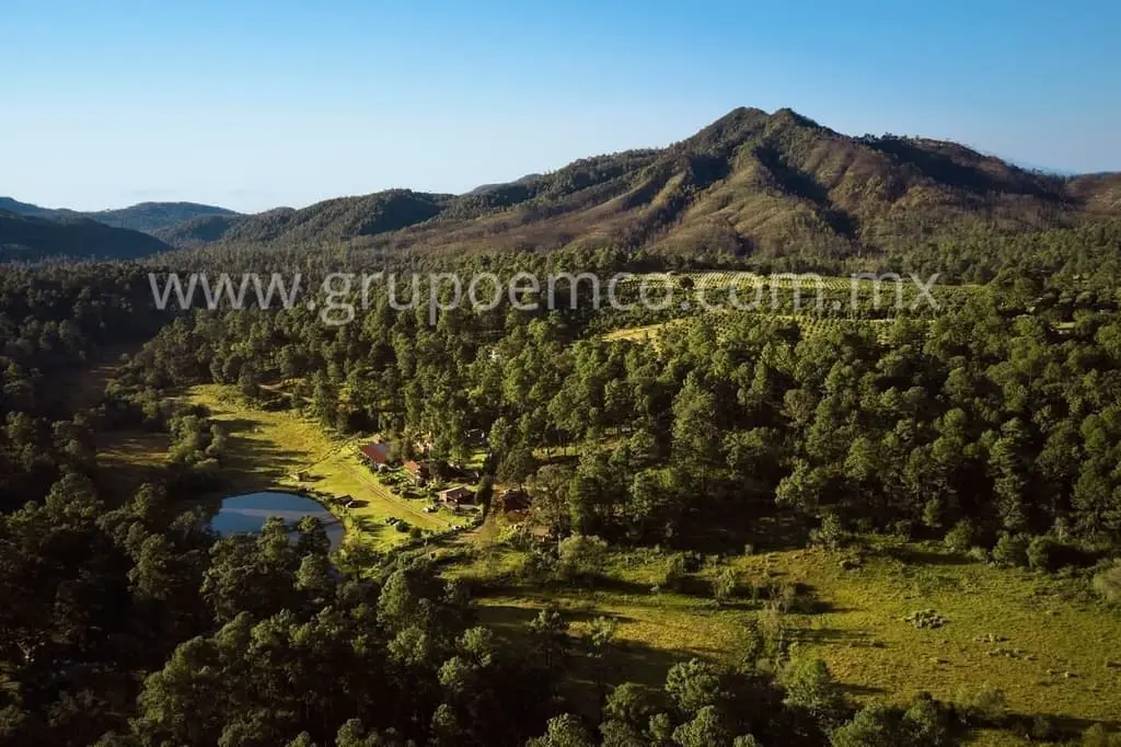 Terreno Campestre Reserva San Gregorio, Concepción de Buenos Aires — foto 11