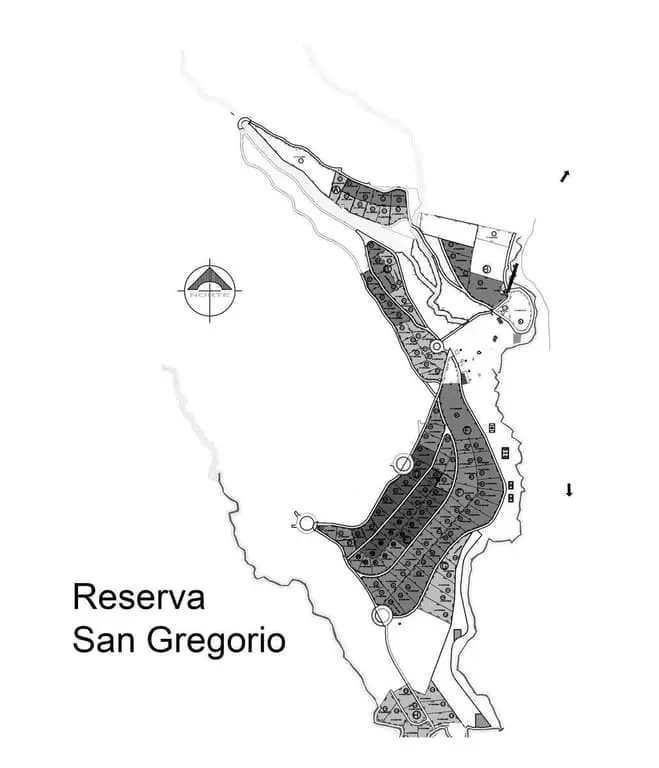 Terreno Campestre Reserva San Gregorio, Concepción de Buenos Aires — foto 3