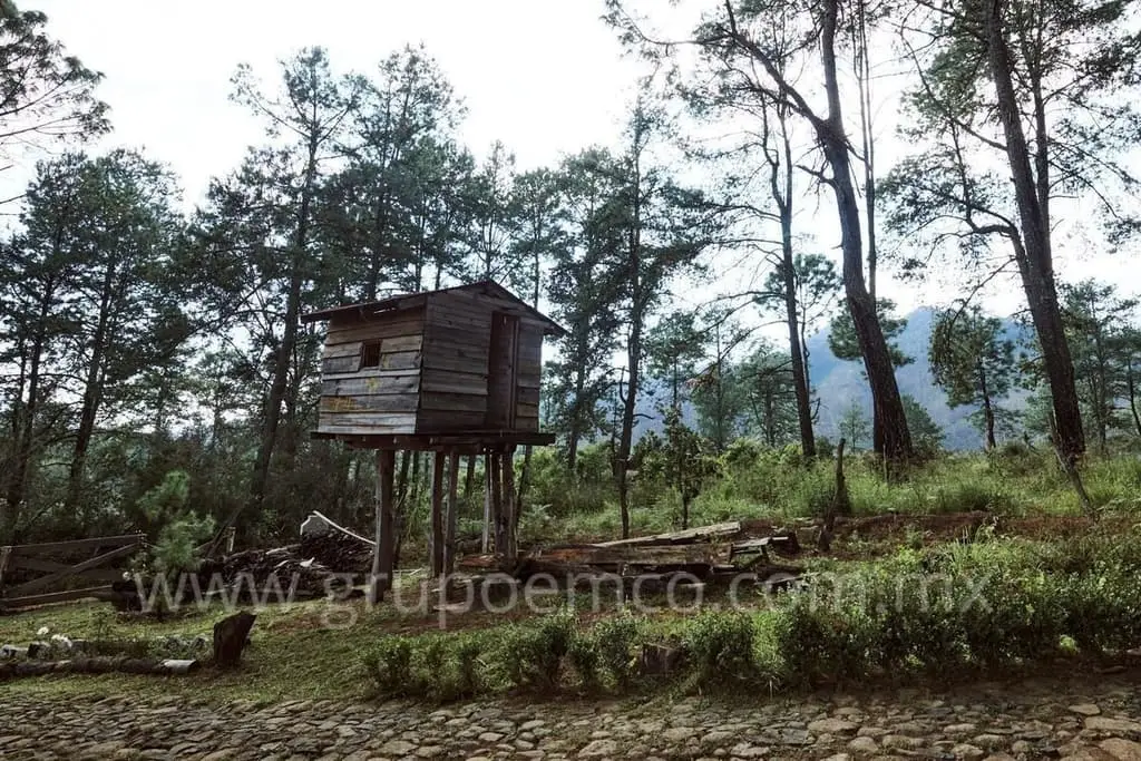 Terreno Campestre Reserva San Gregorio, Concepción de Buenos Aires — foto 8