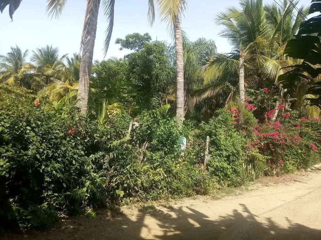 Lote en Venta en San Pancho, Nayarit, Calle Nueva Galicia — foto 5