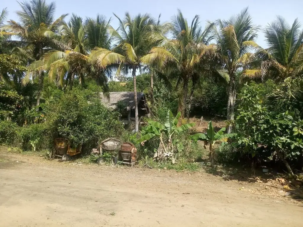 Lote en Venta en San Pancho, Nayarit, Calle Nueva Galicia — foto 6
