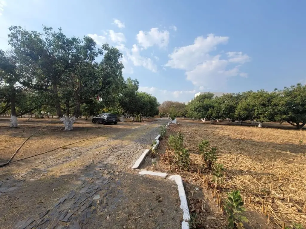 Terreno en Venta en Belenes — foto 3