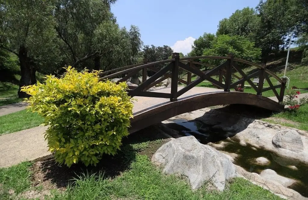 Terreno en venta al sur de Guadalajara - Senderos de Monte Verde — foto 4