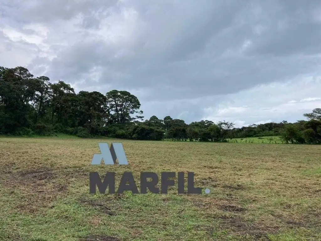 52 Hectáreas en Venta a 5km de Montitlan Cuauhtémoc Colima — foto 11