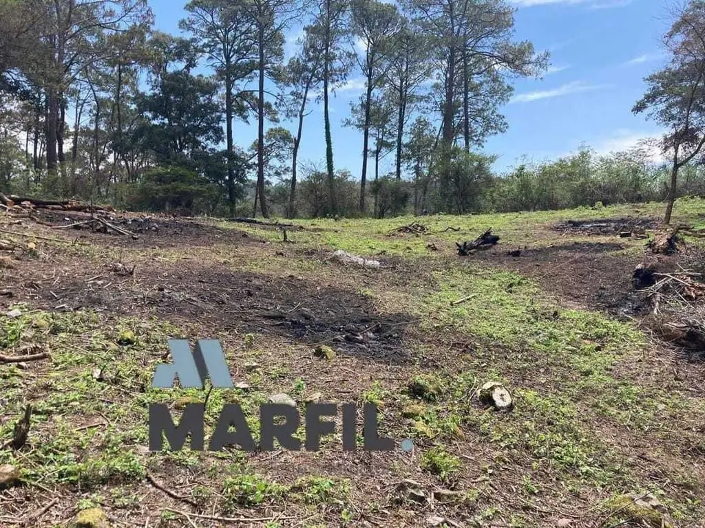 52 Hectáreas en Venta a 5km de Montitlan Cuauhtémoc Colima — foto 6