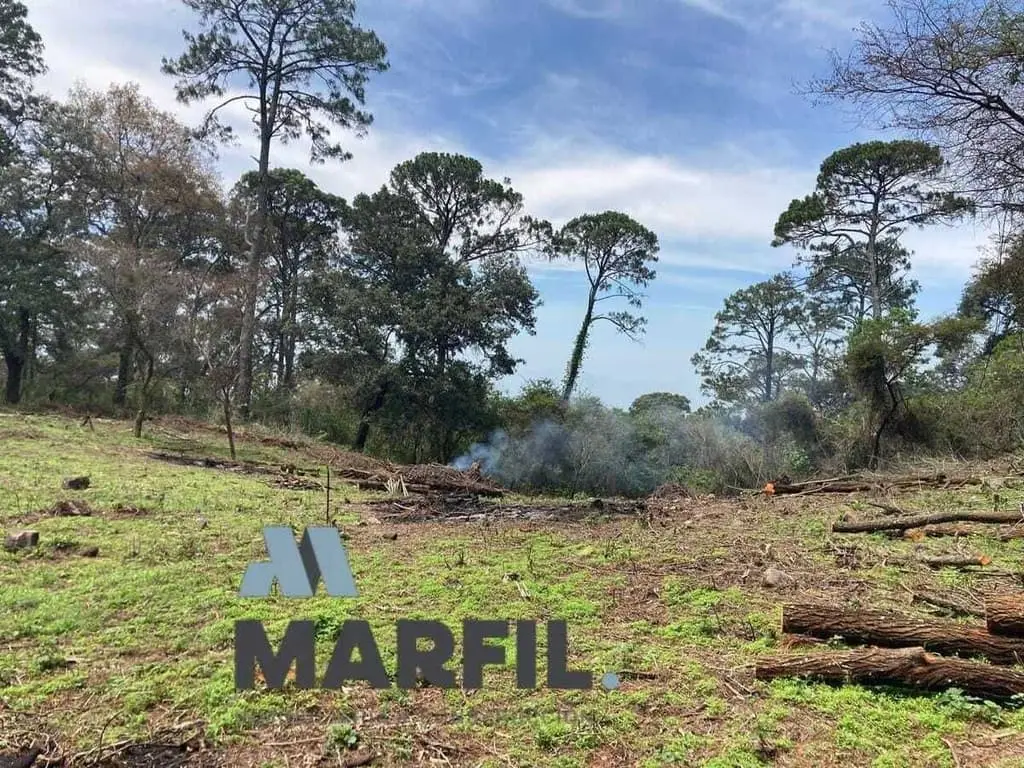 52 Hectáreas en Venta a 5km de Montitlan Cuauhtémoc Colima — foto 7