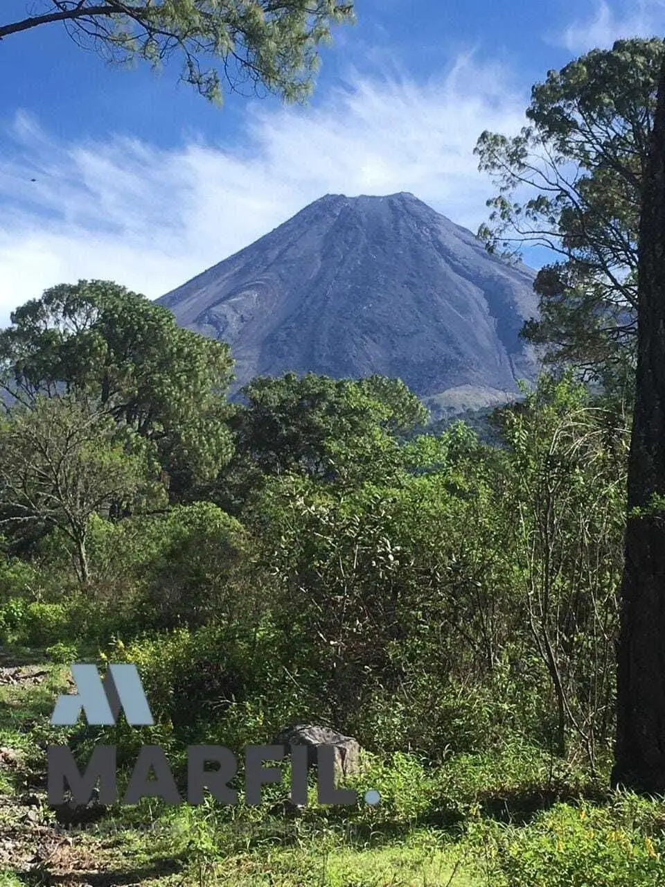 52 Hectáreas en Venta a 5km de Montitlan Cuauhtémoc Colima — foto 8