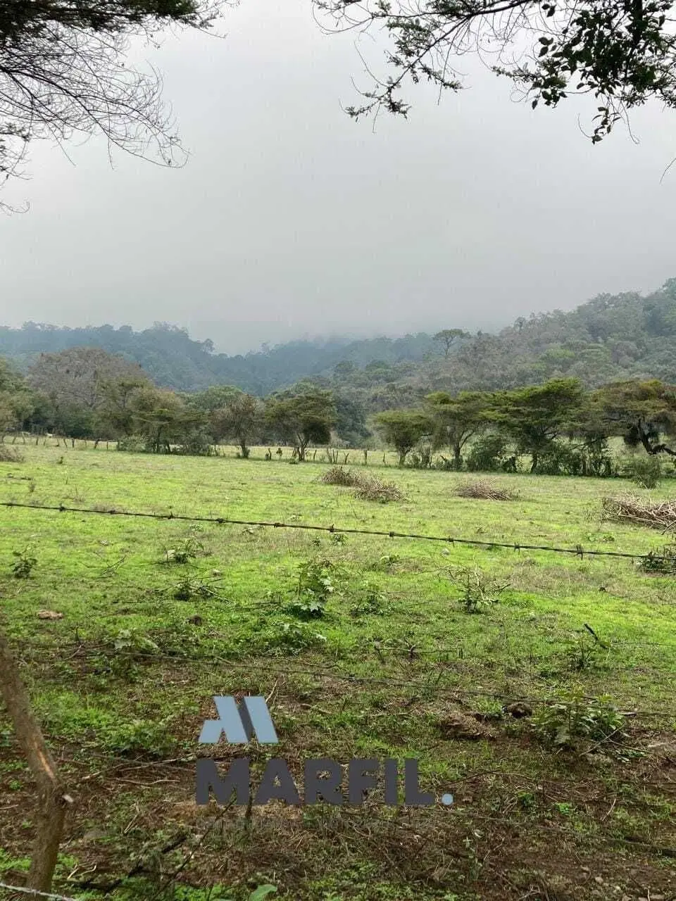 52 Hectáreas en Venta a 5km de Montitlan Cuauhtémoc Colima — foto 9
