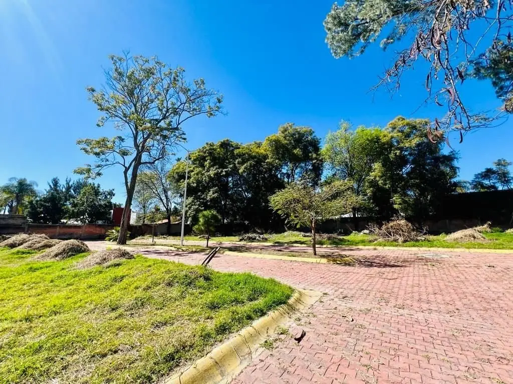 Terreno En Venta En Bugambilias — foto 7