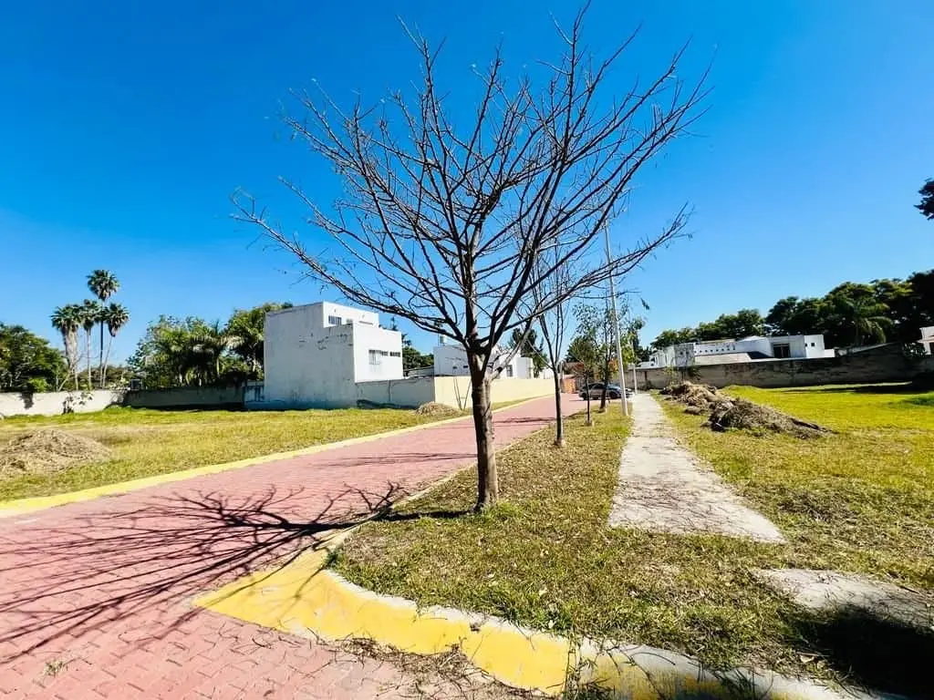 Terreno En Venta En Bugambilias — foto 8