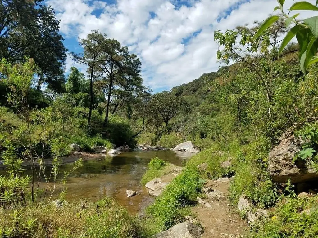 Terreno En Venta En San Antonio Jalisco — foto 3