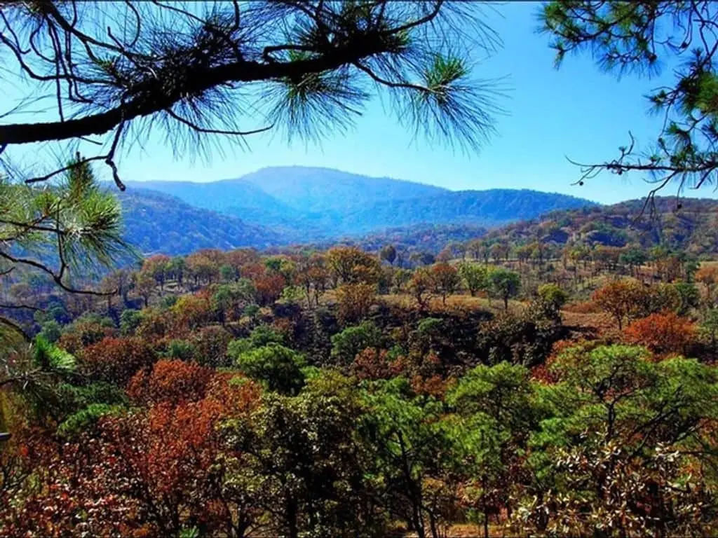 Terreno En Venta En San Antonio Jalisco — foto 5