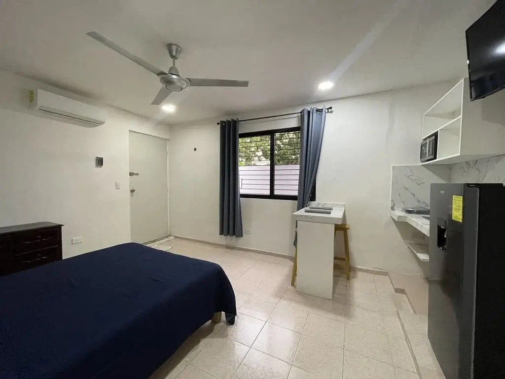 Departamento en renta en Vista Alegre 1 Recámaras — foto 11